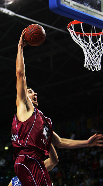 马在年轻球 马在年轻球